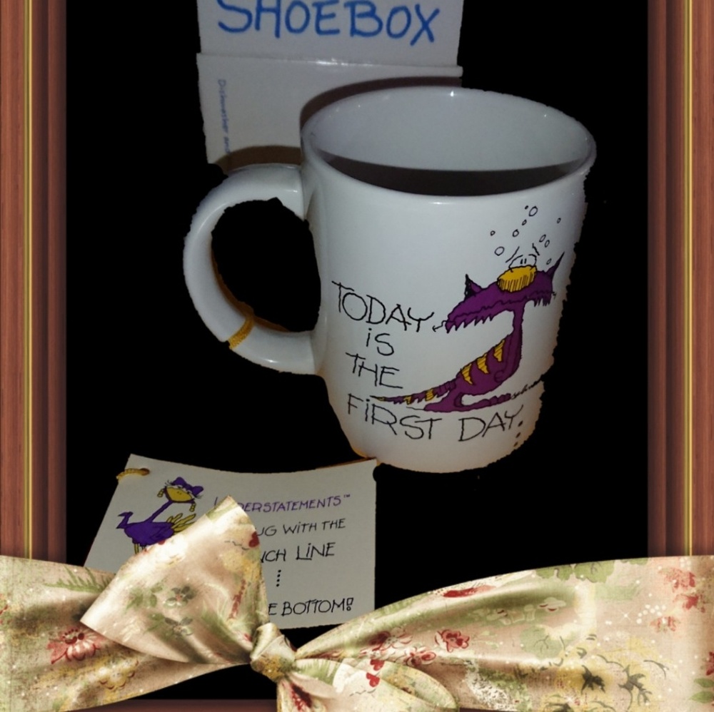 Shoe Box Mug Understatements Punch Line